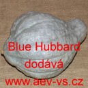 Tykev velkoplodá Blue Hubbard