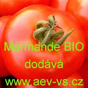 Rajče tyčkové Marmande BIO